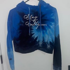 Virginia Beach Cropped hoodie